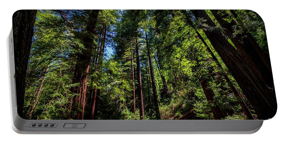 Redwoods Portable Battery Charger featuring the photograph Redwood Forest by Rich Cruse
