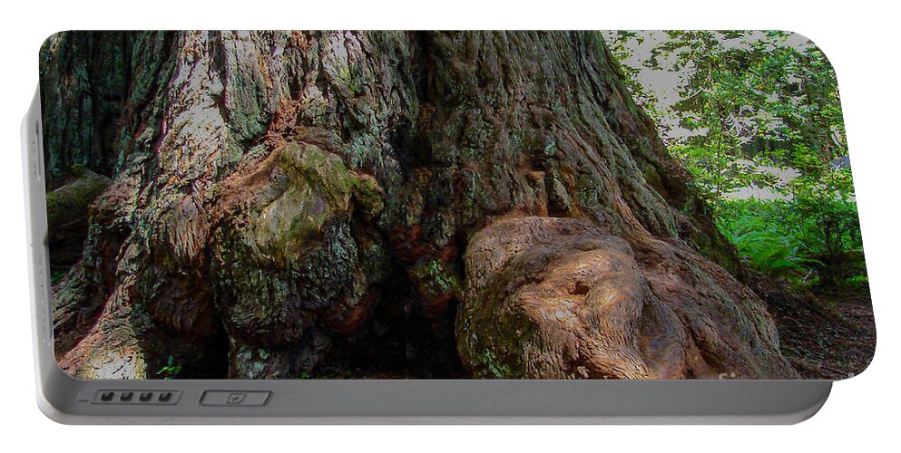 Redwood In Sequoia National Forest Portable Battery Charger featuring the digital art Redwood in Sequoia National Forest by Tammy Keyes