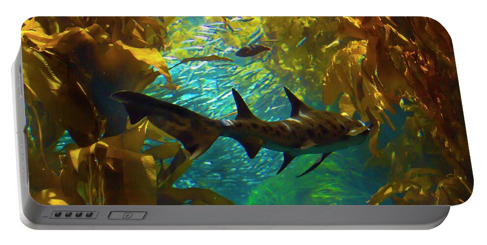 Shark Portable Battery Charger featuring the photograph Reef Shark in the Kelp Forest by Bonnie Follett