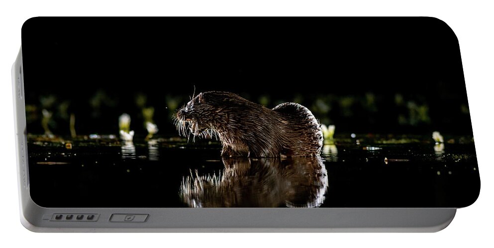 Animal Portable Battery Charger featuring the photograph Reflected Otter by Mark Hunter
