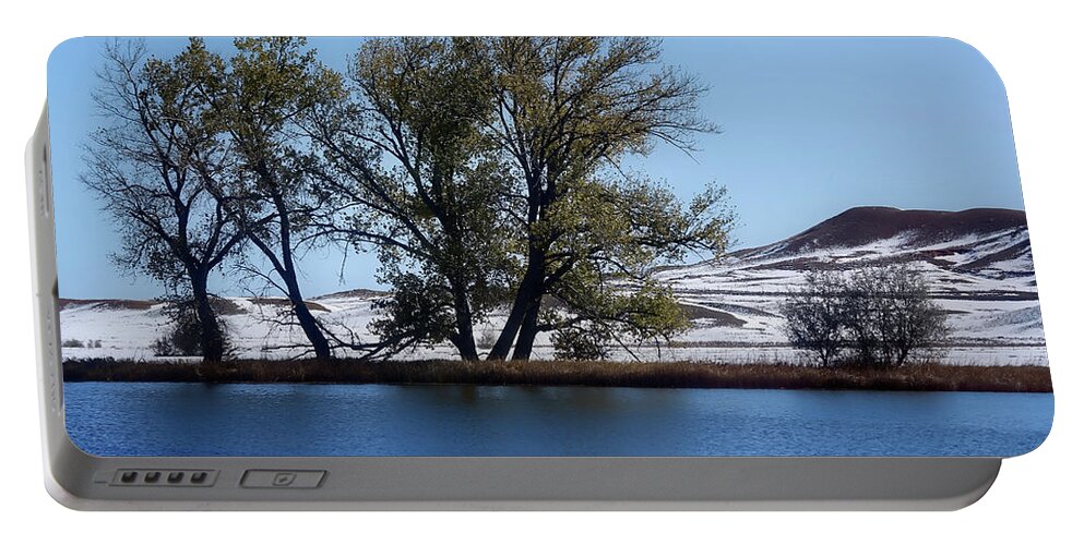 Trees Portable Battery Charger featuring the photograph Reflecting in the blue blue by Cathy Anderson