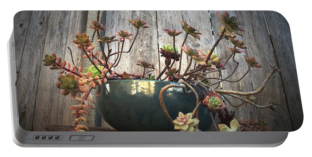Backyard Portable Battery Charger featuring the photograph Reflecting Succulent Still Life by Richard Thomas
