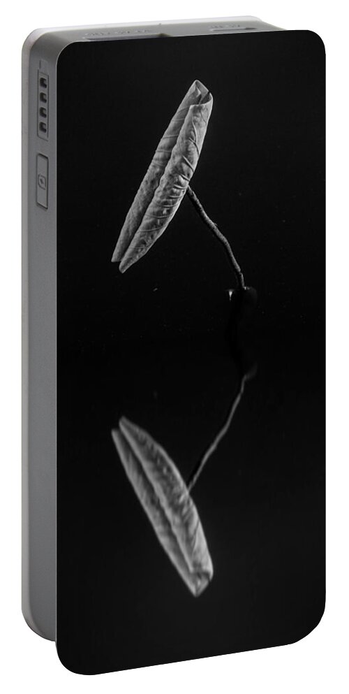 Reflection Portable Battery Charger featuring the photograph Reflection by Alessandra RC