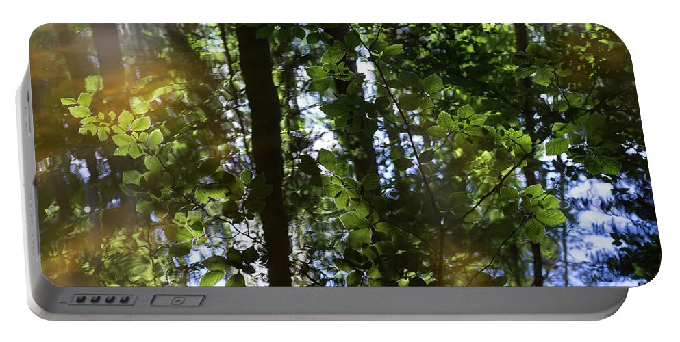 Beech Portable Battery Charger featuring the photograph Summer reflection in the forest 1 by Adriana Mueller