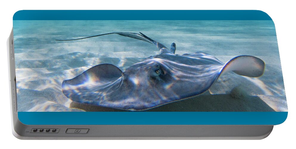 Ray Portable Battery Charger featuring the photograph Reflections on a Southern Ray by Lynne Browne