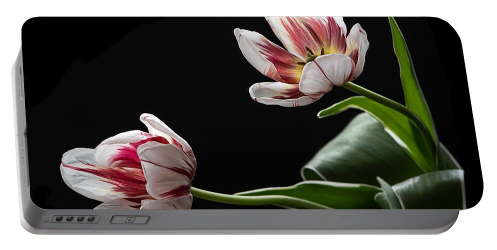 Tulip Portable Battery Charger featuring the photograph Release by Maggie Terlecki