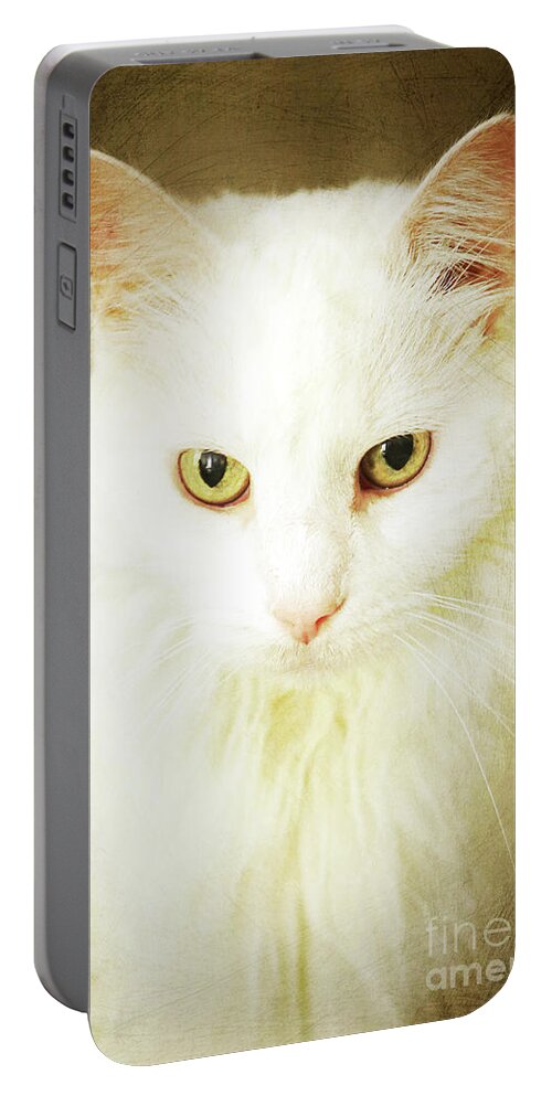 Cat; Kitten; White; White Cat; Gold; Brown; Yellow; Yellow Eyes; Cat Eyes; Kitten Eyes; Close-up; Photography; Portrait; Portable Battery Charger featuring the photograph Renaissance Cat by Tina Uihlein