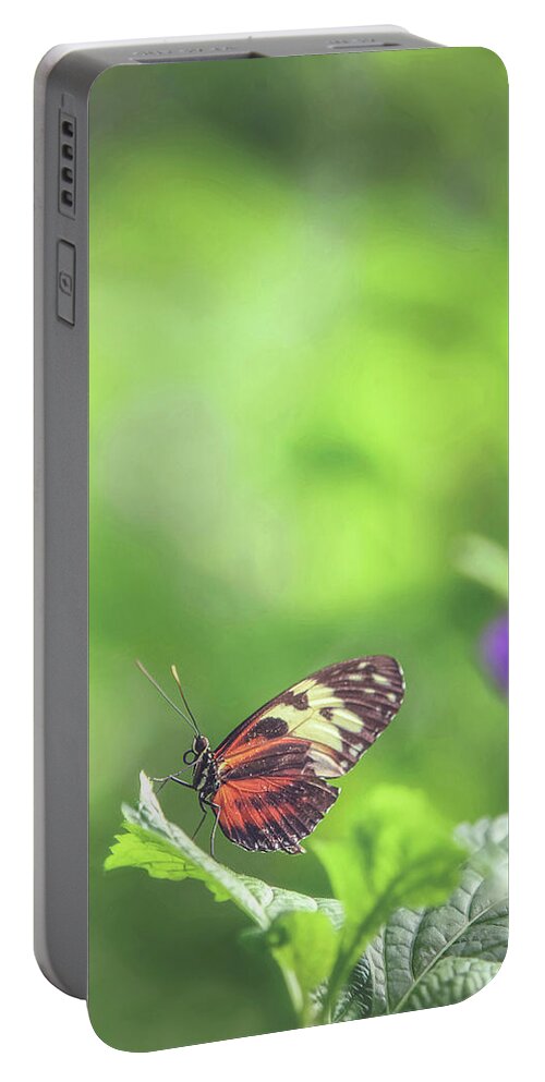 Resting Portable Battery Charger featuring the photograph Resting by Carrie Ann Grippo-Pike