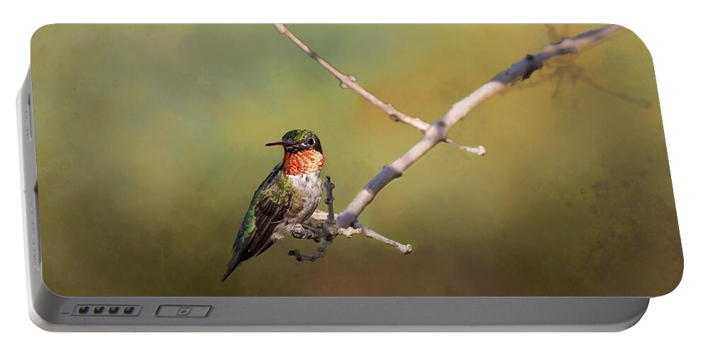 Hummingbird Portable Battery Charger featuring the photograph Resting Hummingbird by Pam Rendall
