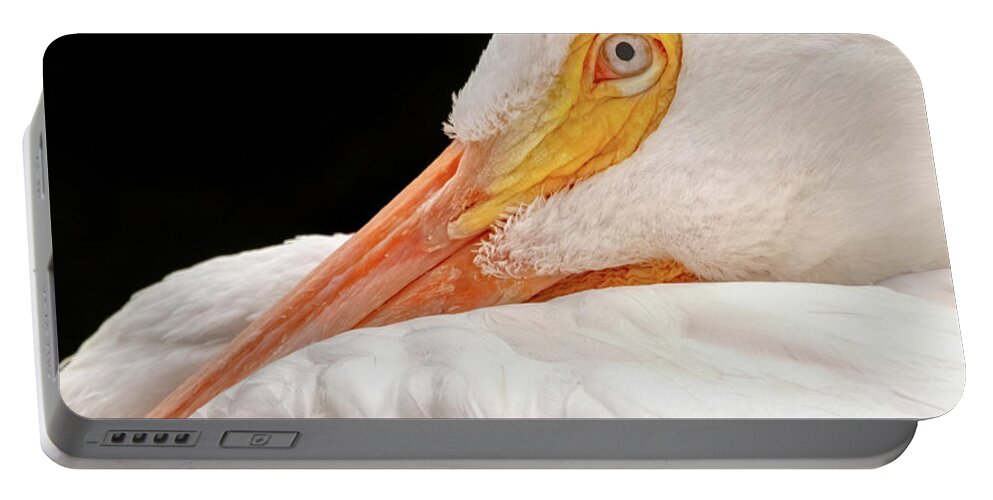 White Portable Battery Charger featuring the photograph Resting Pelican by Ira Marcus