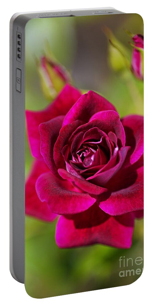 Rich Pink Portable Battery Charger featuring the photograph Rich And Deep Pink Rose by Joy Watson