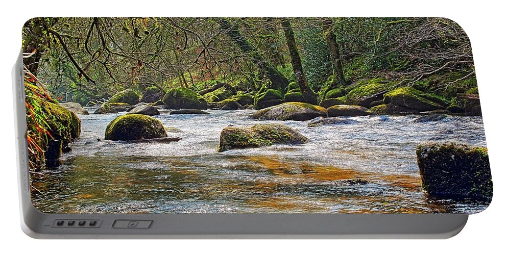 River Dart Portable Battery Charger featuring the photograph River Dart in winter by Tony Mills