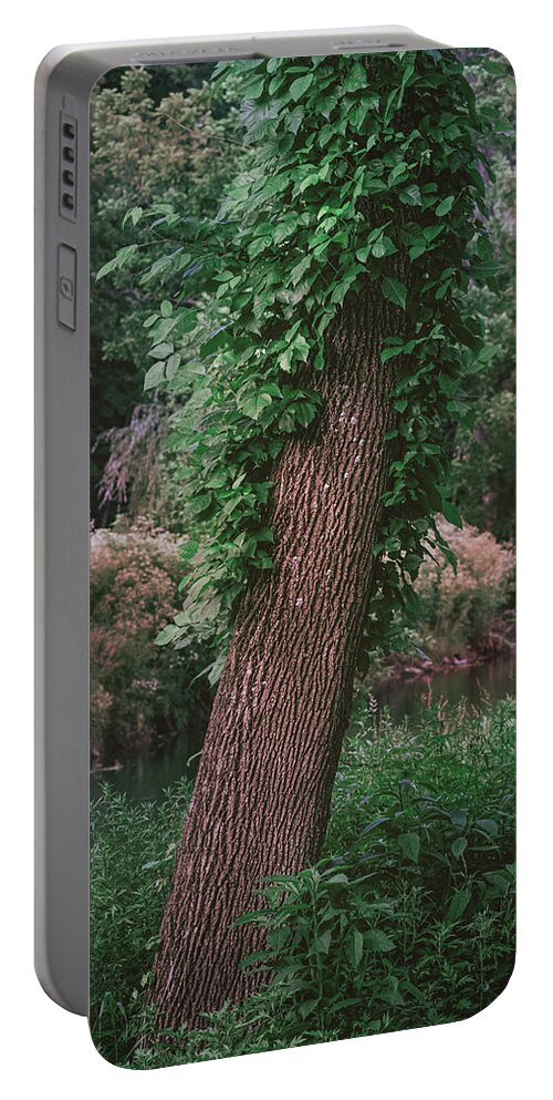 Lehigh Portable Battery Charger featuring the photograph Riverside Tree with Ivy by Jason Fink