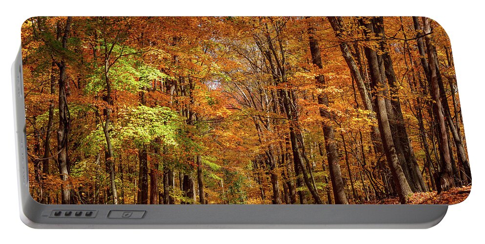 Coopers Rock State Park Portable Battery Charger featuring the photograph Road leading to Coopers Rock state park overlook in WV by Steven Heap