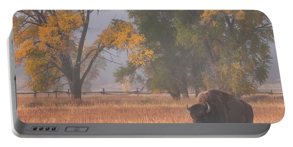 Bison Portable Battery Charger featuring the photograph Roaming Bison by Darren White