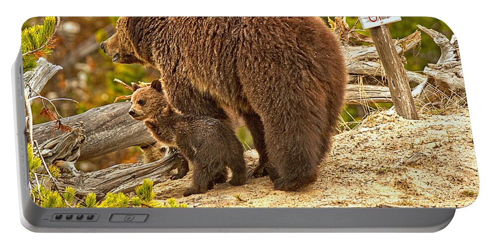 Grizzly Portable Battery Charger featuring the photograph Roaring Mountain Grizzly Family by Adam Jewell