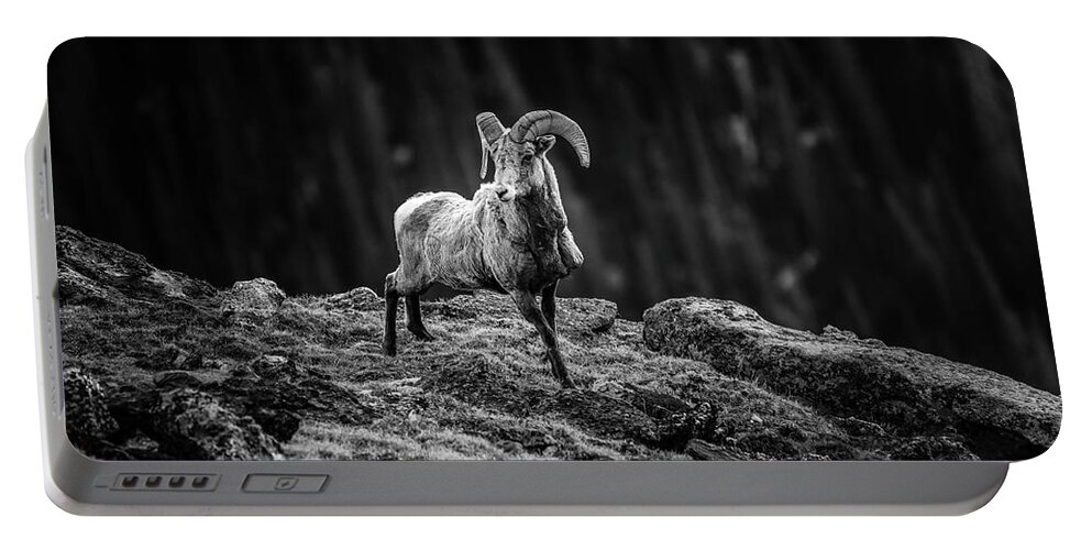 Rocky Mountain Bighorn Ram Portable Battery Charger featuring the photograph Rocky Mountain Bighorn Ram by Dan Sproul