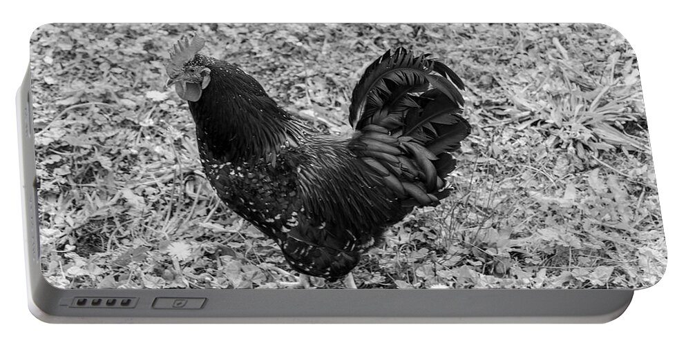 Rooster Portable Battery Charger featuring the photograph Rooster BW by Cathy Anderson