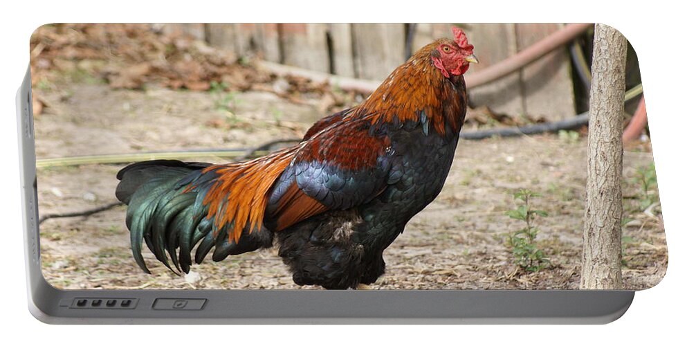  Portable Battery Charger featuring the photograph Rooster by Heather E Harman
