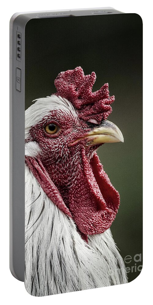 Brahma Pootra Portable Battery Charger featuring the photograph Rooster by Maresa Pryor-Luzier