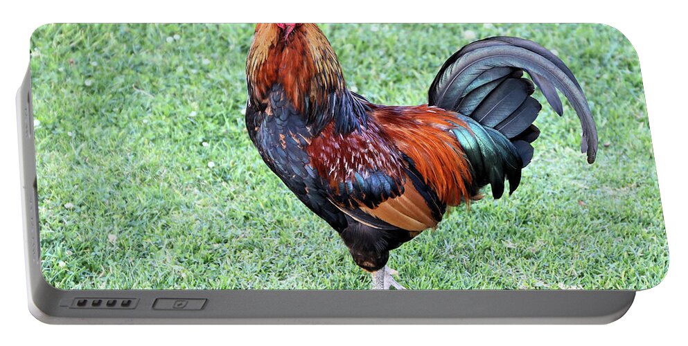 Rooster Portable Battery Charger featuring the photograph Rooster by Vivian Krug Cotton