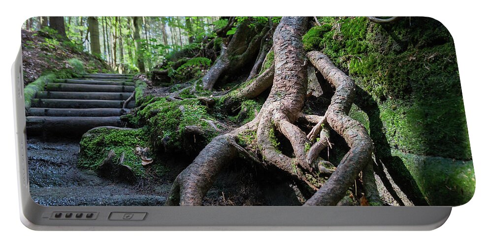 Root Portable Battery Charger featuring the photograph Root and way up by Adriana Mueller