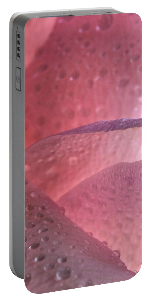 Macro Portable Battery Charger featuring the photograph Rose 4069 by Julie Powell