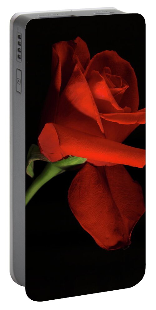 Macro Portable Battery Charger featuring the photograph Rose 8702 by Julie Powell