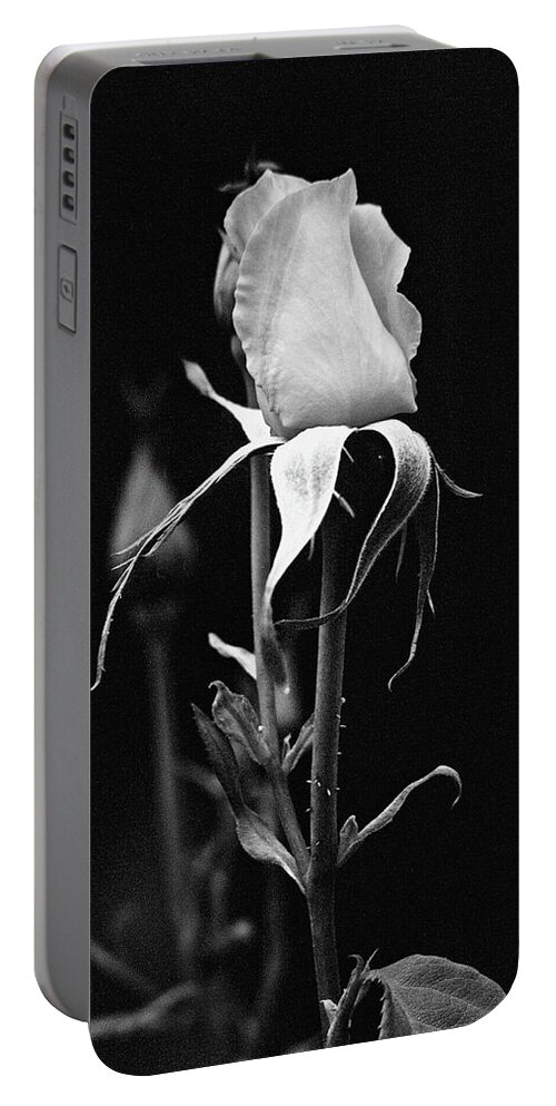 Photograph Flower Rose B&w Portable Battery Charger featuring the photograph Rose by Beverly Read