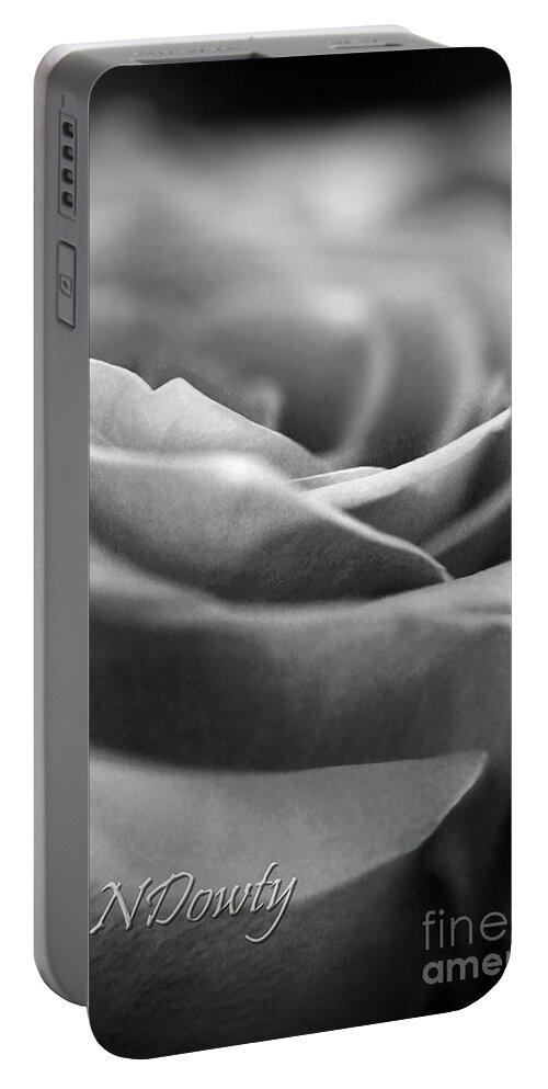 Rose Bw Portable Battery Charger featuring the photograph Rose BW by Natalie Dowty