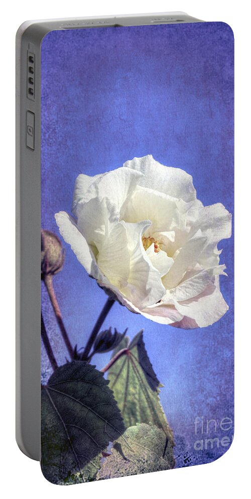 Floral Portable Battery Charger featuring the photograph Rose of Sharon 10 by Elaine Teague