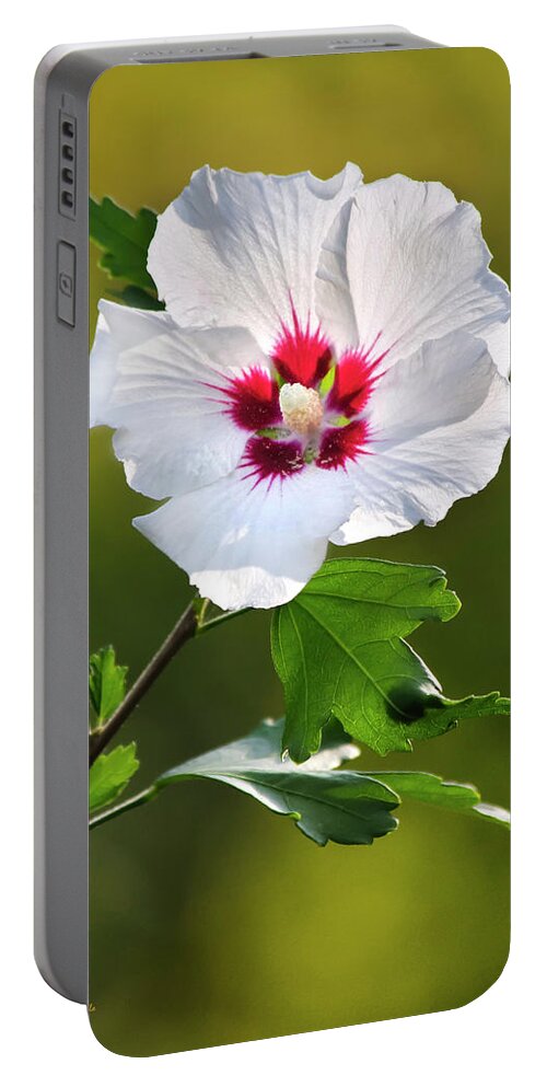 Hibiscus Portable Battery Charger featuring the photograph Rose Of Sharon Flower by Christina Rollo