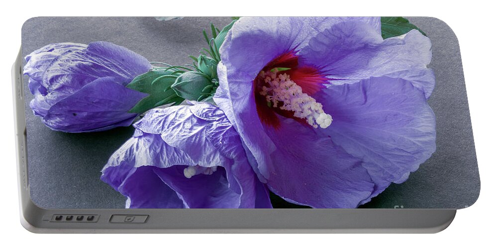 Flowers Portable Battery Charger featuring the photograph Rose of Sharon - Hibiscus Syriacus 6 by Elaine Teague