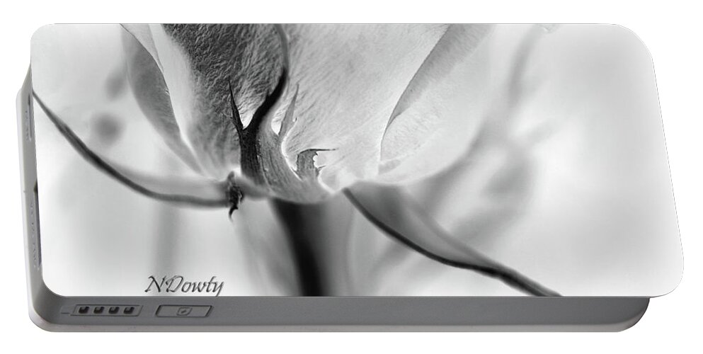 Rose Sepal Bw Portable Battery Charger featuring the photograph Rose Sepal BW by Natalie Dowty