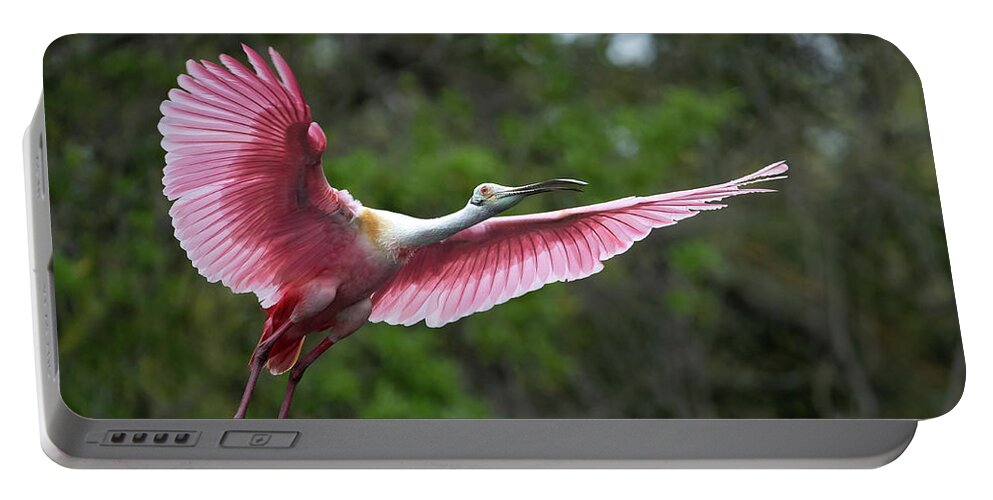  Portable Battery Charger featuring the photograph Roseate Flight by Jim Miller