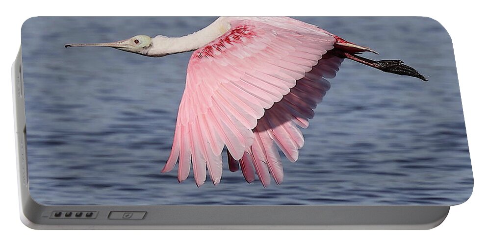 Roseate Spoonbill Portable Battery Charger featuring the photograph Roseate Spoonbill 6 by Mingming Jiang