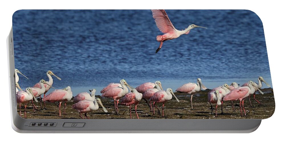 Roseate Spoonbill Portable Battery Charger featuring the photograph Roseate Spoonbills Gather Together 5 by Mingming Jiang