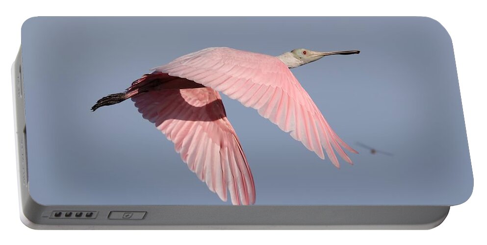 Roseate Spoonbill Portable Battery Charger featuring the photograph Roseate Spoonbill in Flight 3 by Mingming Jiang