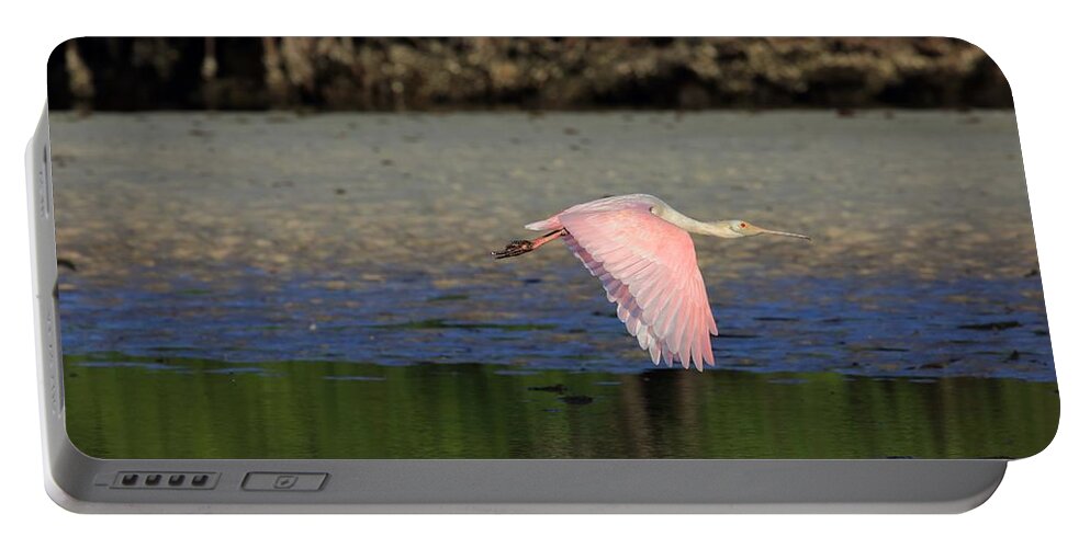 Roseate Spoonbill Portable Battery Charger featuring the photograph Roseate Spoonbill in Flight by Mingming Jiang