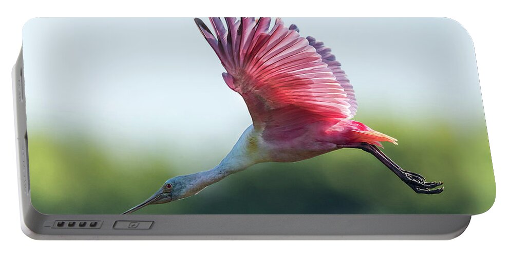 Roseate Spoonbill Portable Battery Charger featuring the photograph Roseate Spoonbill in Flight by Puttaswamy Ravishankar