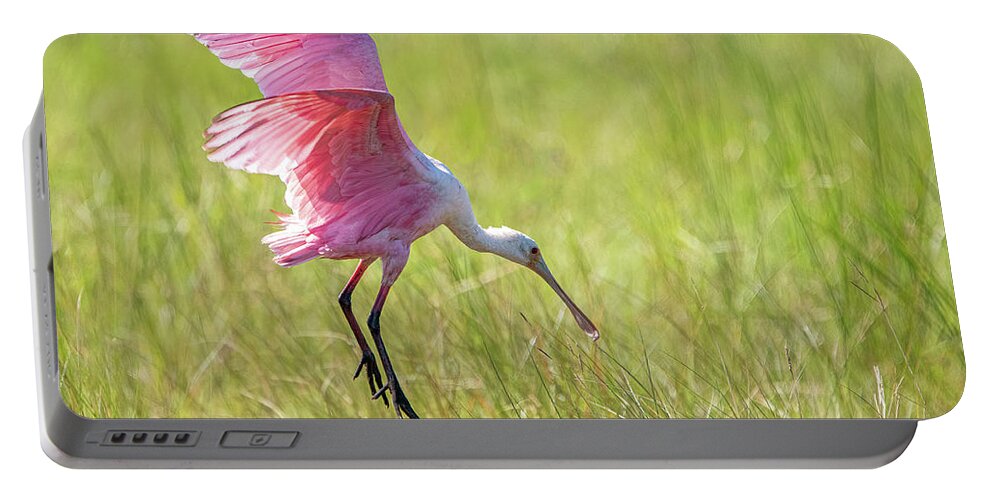 Roseate Spoonbill Portable Battery Charger featuring the photograph Roseate Spoonbill by Linda Shannon Morgan