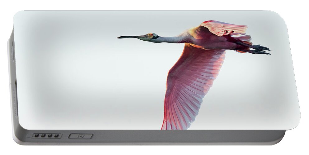Www.fstop.com Portable Battery Charger featuring the photograph Roseate spoonbill Spreading its Wings by Puttaswamy Ravishankar
