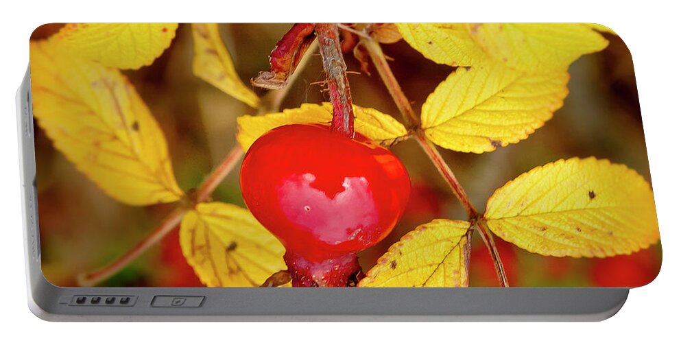 Rose Hip Portable Battery Charger featuring the photograph Rosehip. Winter is coming. by Elena Perelman