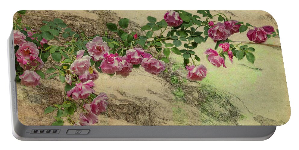 Roses Portable Battery Charger featuring the photograph Roses Branching Out by Elaine Teague