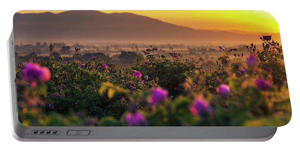 Bulgaria Portable Battery Charger featuring the photograph Roses Valley by Evgeni Dinev
