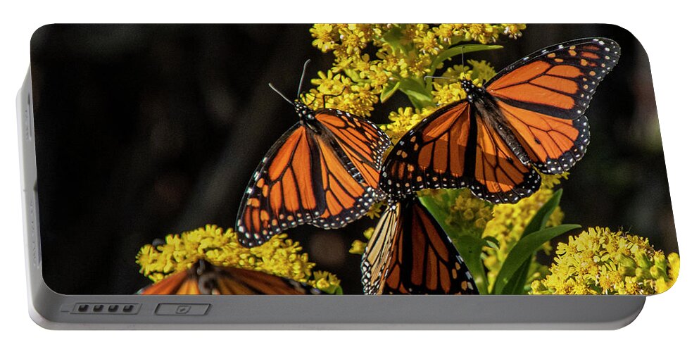 Butterflies Portable Battery Charger featuring the photograph Royal Gathering by Cathy Kovarik