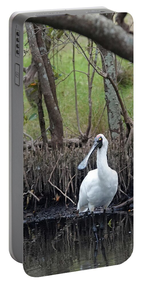 Animals Portable Battery Charger featuring the photograph Royal Spoonbill Illuminates Mangrove Forest by Maryse Jansen