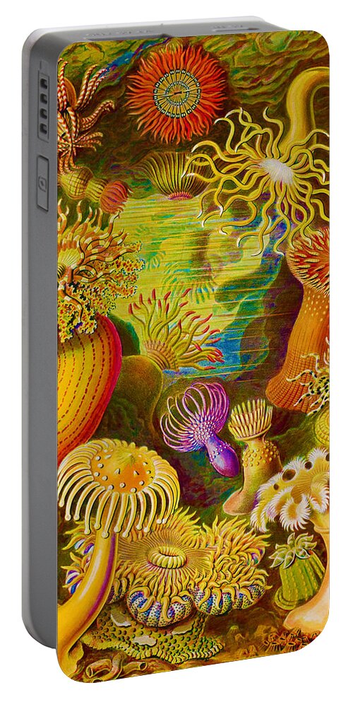 Art Portable Battery Charger featuring the painting Rubino Rise Under Water Actiniae by Tony Rubino