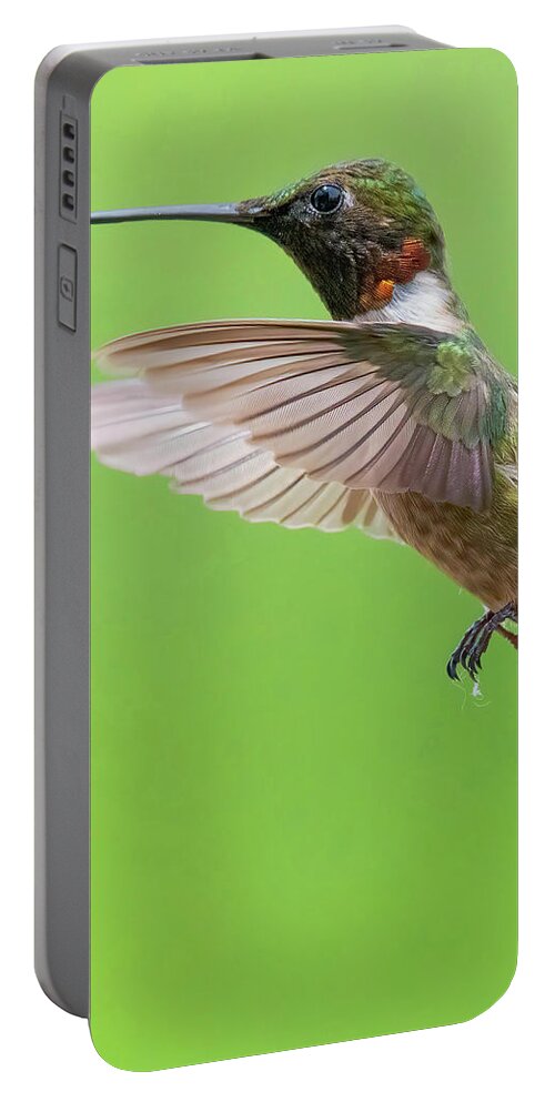 Hummingbirds Portable Battery Charger featuring the photograph Ruby by Linda Shannon Morgan