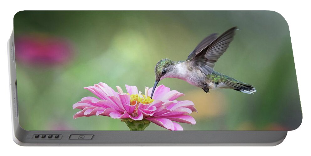 Ruby Throated Hummingbird Portable Battery Charger featuring the photograph Ruby Throated Hummingbird by Linda Shannon Morgan
